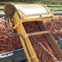 Danny Andrews, owner of Dan Andrews Farms LLC, says his company is on track to have carrots in June and melons in July.