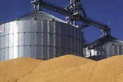 elevator-grain-pile-storage.jpg