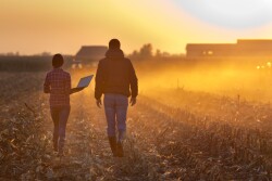The Terraton Initiative is Indigo’s global effort to capture 1 trillion tons of carbon dioxide from the atmosphere by using agricultural plants and then storing that carbon in the soil.