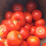 5B8F088C-641B-4E8A-AE7B2972054FF8F7.png