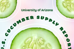 Cucumber report