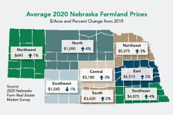 After five years of declines, the value of an average acre of Nebraska farmland rose 3% versus a year ago. 