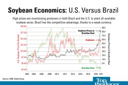 Soybean Economics