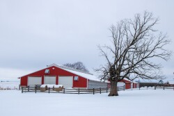  Not all buildings are built the same. Therefore, it’s important to know just how much snow your roof can handle.