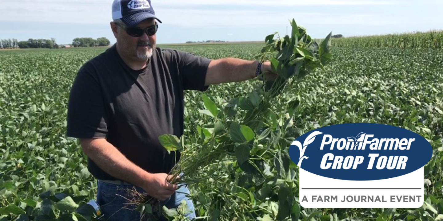 Crop-Tour-chip-in-beans-GA600.png