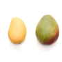 1016-mango-mania.jpg