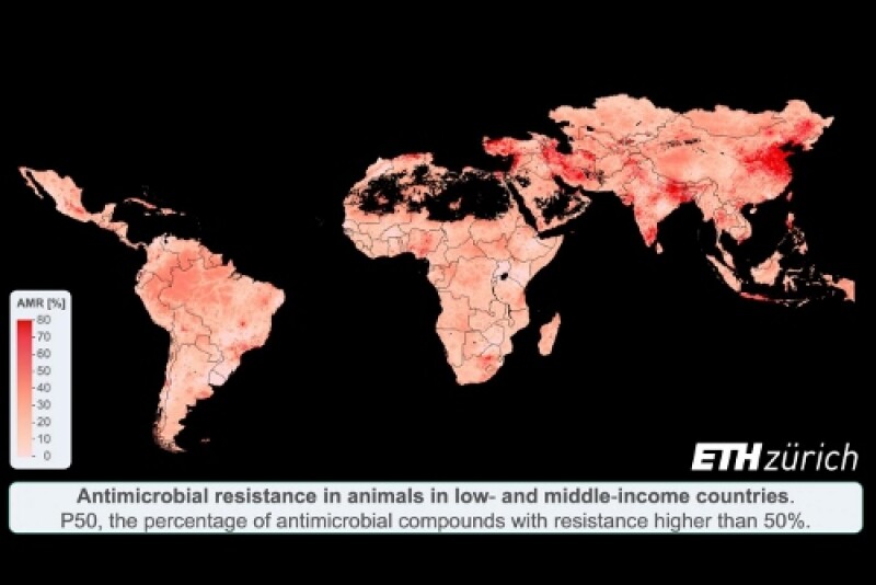 Researchers gathered nearly 1,000 publications and unpublished veterinary reports from around the world to create a map of antimicrobial resistance in low- to middle-income countries.



