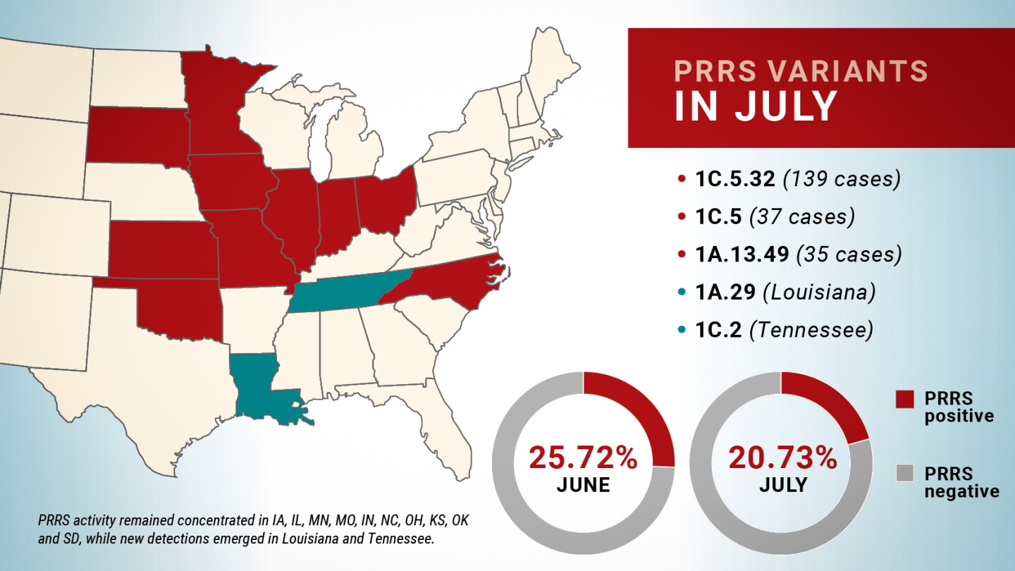 PRRS Variants Diversify as July Swine Disease Rates Decline
