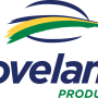 LovelandProducts.png
