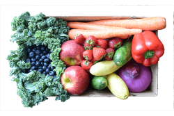 A 10-year-old tome with (literally) a hundred maxims on food and diets still gets traction. 