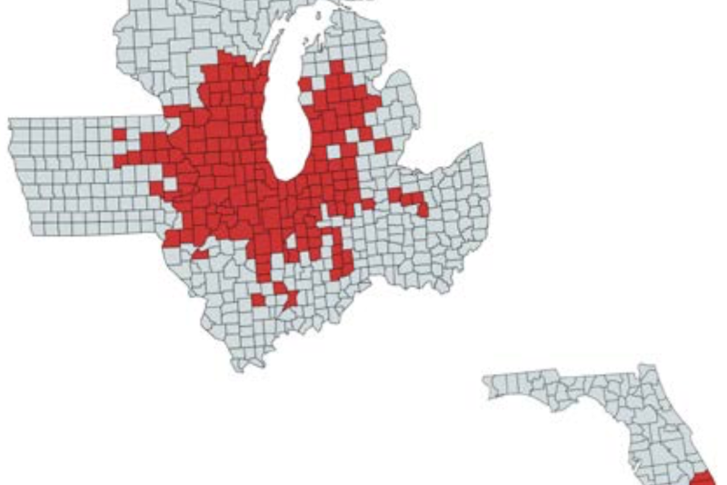 The 2018 distribution map of tar spot infections confirmed in the US 