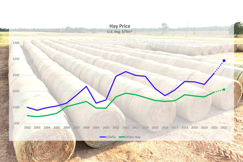 Hay Prices