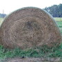 Haybale