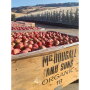 January traditionally is the biggest apple month of the year for CMI Orchards, which markets the Daisy Girl Organics brand, says Loren Foss, organic manager. “People start thinking healthy and buying healthy,” he says.