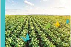 Sustainability Insights 2021