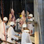 BT_USDA_Beef_Meat_Packer