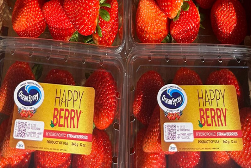 Happy Berry