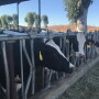 Farm Journal