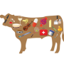 Beef Byproduct.png