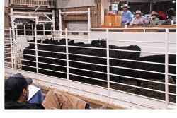 A new rule would allow beef and soybean producers to send checkoff dollars straight to their national boards, bypassing their state boards.