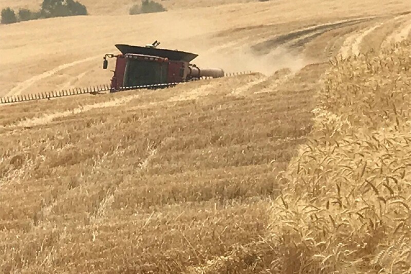 Neiffer and Barron visited a farmer’s field about two miles north of Waitsburg up Whoomenup Hollow (yes that is the name) to watch wheat harvest.