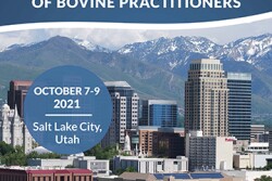 Get ready for Salt Lake City.