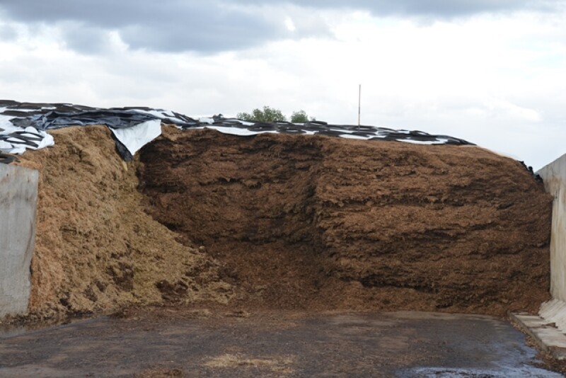 Silage_Pile