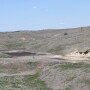 Drought pasture