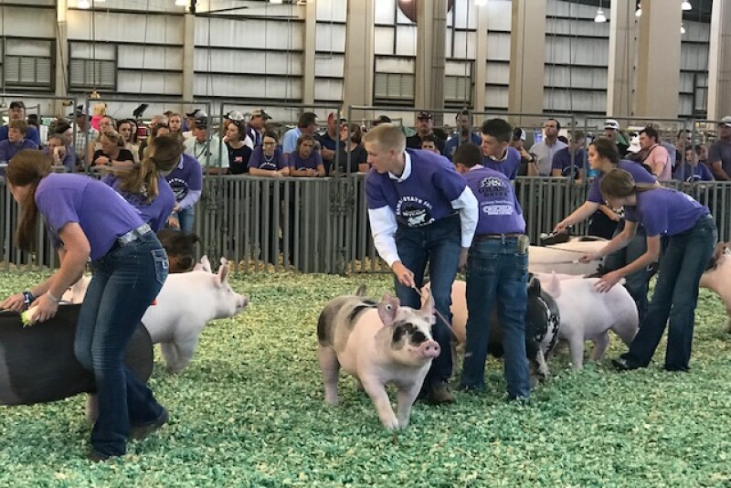 Fairs are looking quite a bit different this year with many going virtual or being held with very few spectators. Unfortunately, that doesn’t mean we can take a break from the threat of activism. 