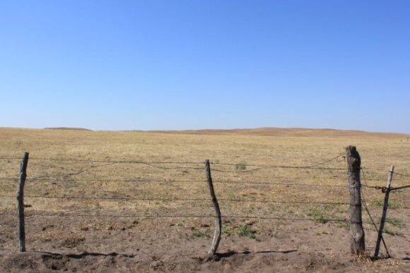 BT_Drought_Pasture_Nebraska.jpg