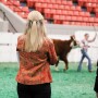 Girl judging cattle at a livestock judging contest