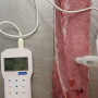 Measuring pH in pork