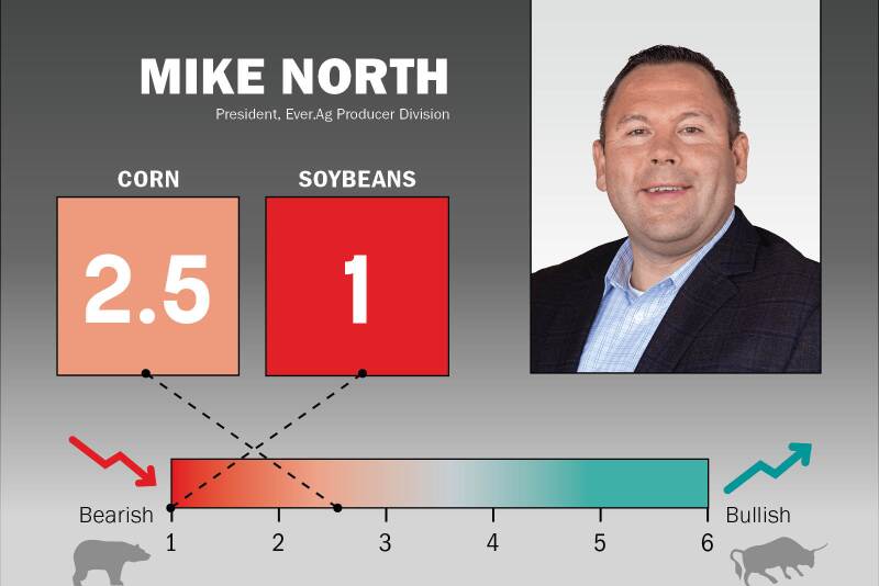 Market Outlooks - Mike North.jpg