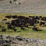 Horse Prairie Ranch, Montana