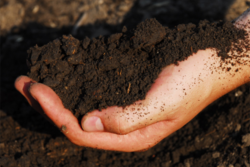 Land O’Lakes is aiming to straighten the path as much as possible for more farmers to adopt more regenerative practices across their acres, and in doing so building a wider funnel of farmers who could enroll in carbon markets and other new revenue streams. 