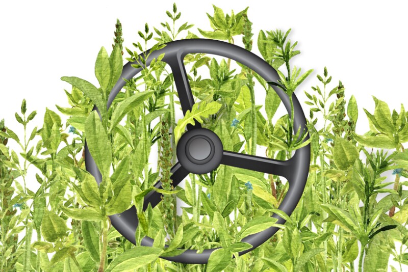 Driver Weeds