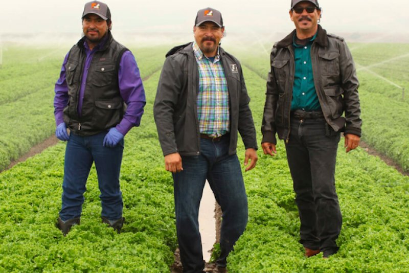 Gonzales, Calif.-based Misionero Vegetables relaunches a salad brand of spring mixes.