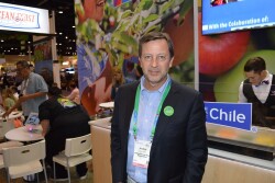 Andres Armstong, executive director of the Chilean Blueberry Committee