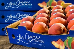 LA peaches