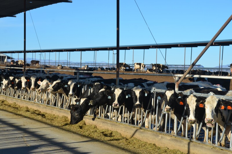 While a dairy has very little control over the announced price of milk, they do have control over their components. 