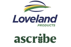 Loveland Ascribe-01.jpg