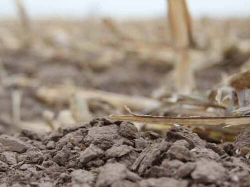 nebraska-soil-cornfield.jpg