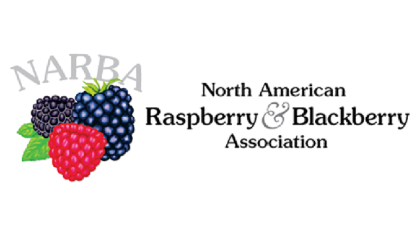 Survey seeks retail information on blackberries, raspberries - The Packer