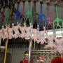 This collaborative effort aims to build risk assessment models that will allow Perdue and other poultry producers to optimize Salmonella control strategies in their supply chain by enhancing intervention tactics. 