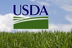 USDA fields