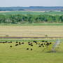 Hanging H Ranch