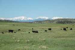 CAB_Montana-Ranch-22_840.jpg