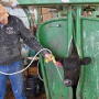 Deworming in the fall can help control internal and external parasites.