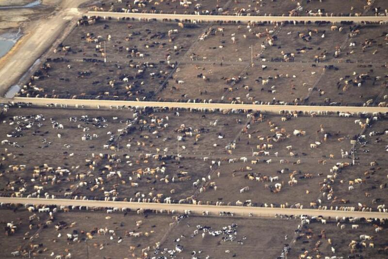 Feedlot airplane