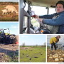 Ukraine Agriculture